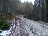 Planica (Planinšek) - Planina Ravne